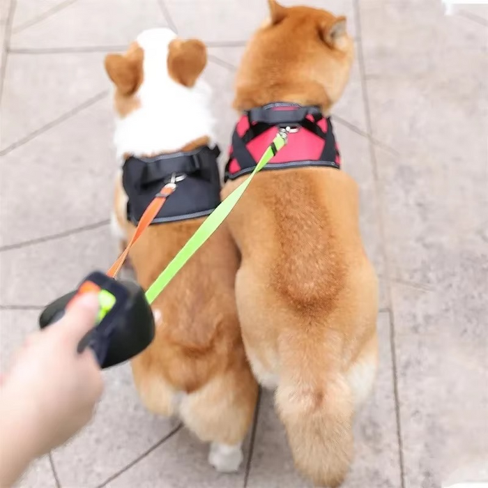 Tangle-Free Dual Dog Walking Leash with LED Light - SJ Backyard