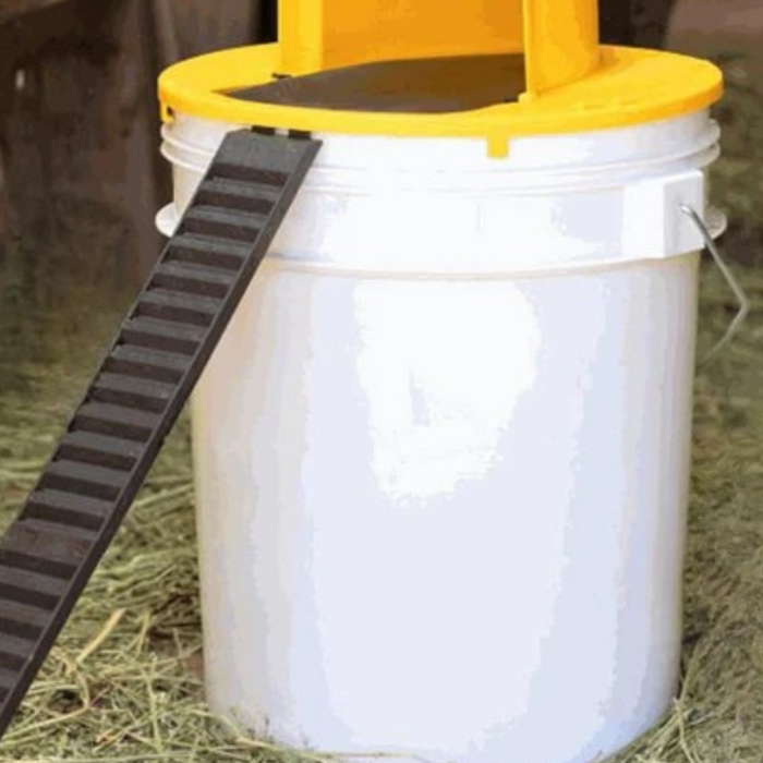 Bucket Lid Mouse Trap – 4 Pack Multi-Catch Reusable Rodent Eliminator - SJ Backyard