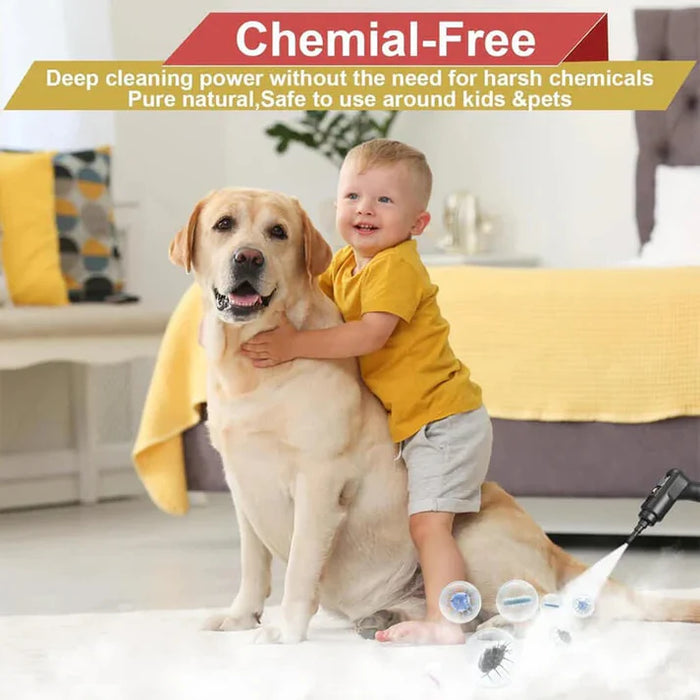 2500W High Pressure Steam Cleaner and Gloves